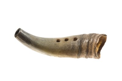 Kohorn