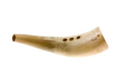 Kohorn