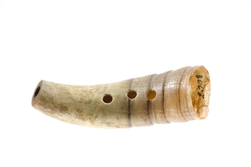 Instrument image