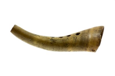Kohorn