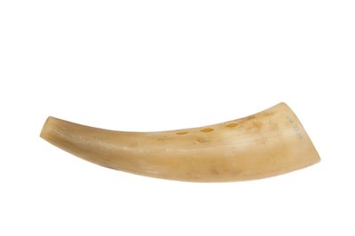 Kohorn
