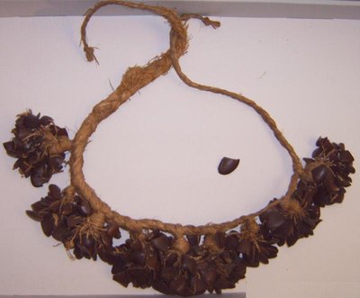 Tanzrassel