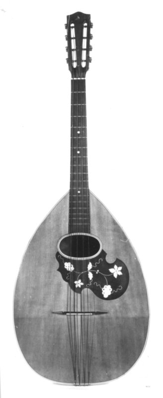 Mandolon-Bass